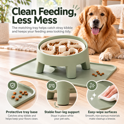 swewt®Elevated Slow Feeder Dog Bowl with Spill-Proof Tray