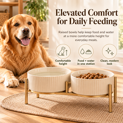 swewt®Elevated Ceramic Dog Bowls with Metal Stand